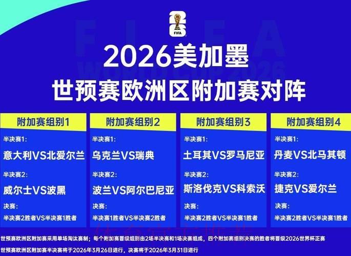 2026年世界杯决赛完整录像深度点评 2026年世界杯决赛完整录像深度点评